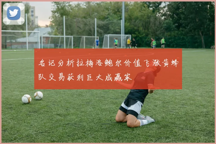 名记分析拉梅洛鲍尔价值飞涨黄蜂队交易获利巨大成赢家